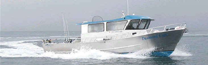 Diamond Cape Charters